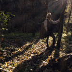 Iava Montepulciano d'Abruzzo - Afbeelding 4