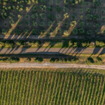 ColleMassari Melacce - Afbeelding 4