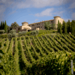 ColleMassari Riserva - Afbeelding 4