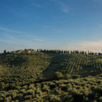 ColleMassari Rigoleto - Afbeelding 2