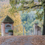 Rizieri Barolo DOCG 2016 - Afbeelding 2