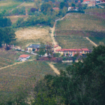 Rizieri Barolo DOCG 2016 - Afbeelding 4