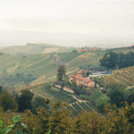 Rizieri Barolo DOCG Silio 2018 Magnum - Afbeelding 4