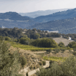 Tenuta San Giorgio Ugolforte Brunello di Montacinno DOCG - Afbeelding 2