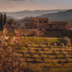 San Giorgio Ugolforte Brunello di Montalcino Riserva DOCG - Afbeelding 2