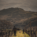 San Giorgio Ugolforte Brunello di Montalcino Riserva DOCG - Afbeelding 4