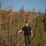 San Giorgio Ciampoleto Rosso di Montalcino DOCG - Afbeelding 2