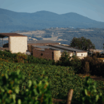 San Giorgio Ciampoleto Rosso di Montalcino DOCG - Afbeelding 3