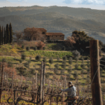 Tenuta San Giorgio Ugolforte Brunello di Montacinno DOCG - Afbeelding 3