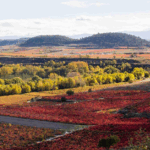 Viña Ijalba Rioja Crianza - Afbeelding 2