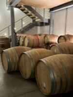 Rizieri Barolo DOCG 2016 - Afbeelding 3