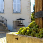 Domaine Jean Monnier Meursault 'La Barre' - Afbeelding 3
