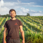 Tenuta Serpaia Morellino di Scansano DOCG - Afbeelding 2