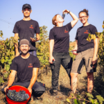 Tenuta Serpaia Fumaterra Sangiovese - Afbeelding 2