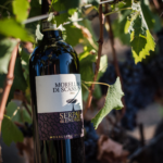 Tenuta Serpaia Morellino di Scansano DOCG - Afbeelding 3