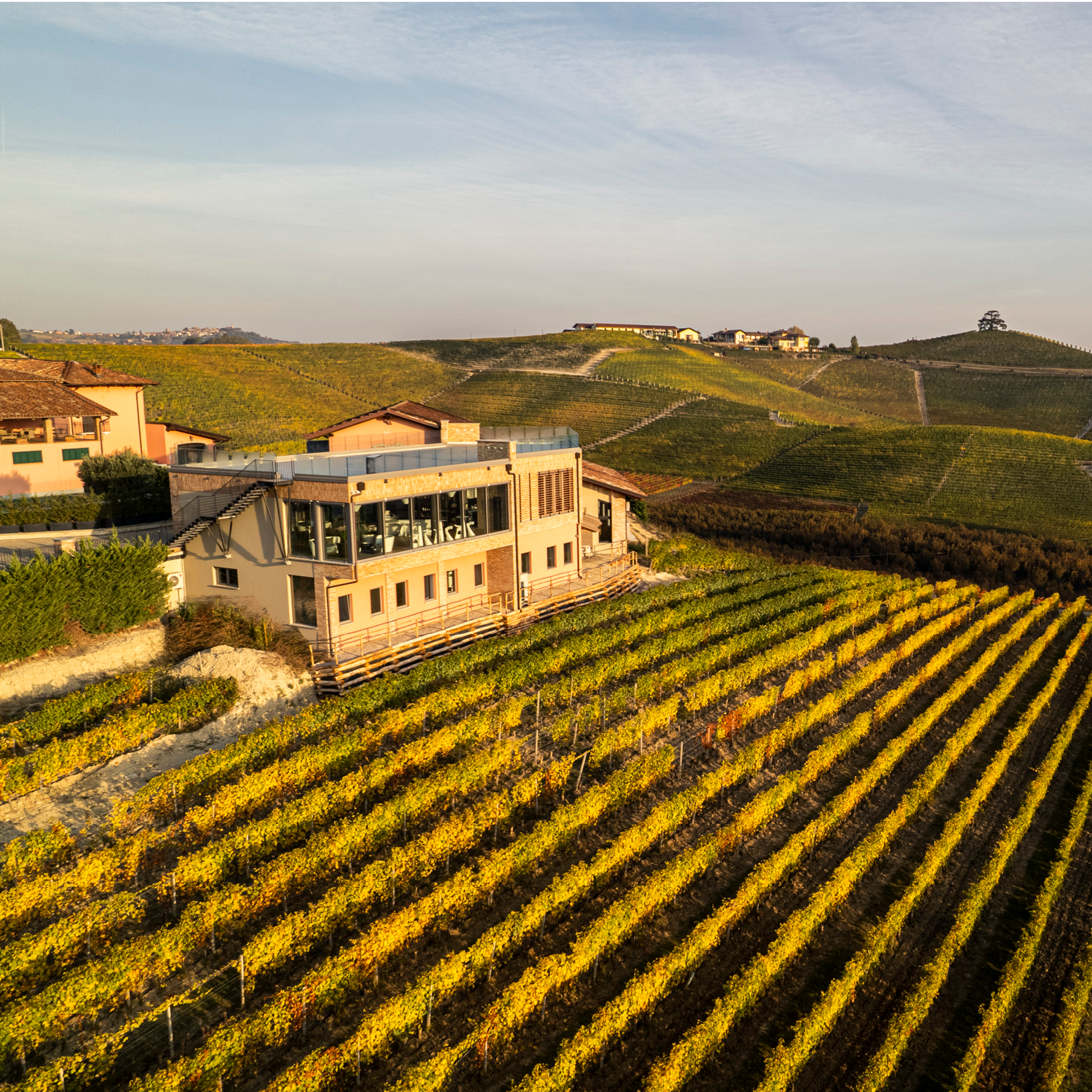 Mauro Molino Langhe DOC Dolcetto - Afbeelding 3